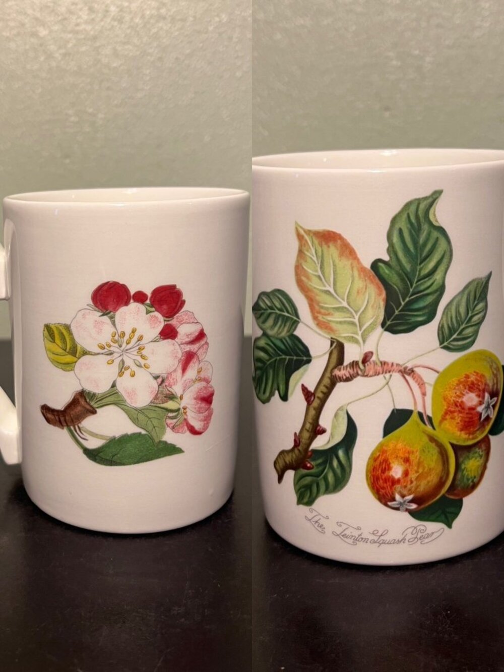 VTG Portmeirion Pomona Teinton Squash Pear Hoary Morning Apple Blossom Mug Cup